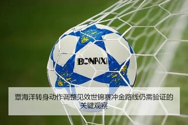 覃海洋转身动作调整见效世锦赛冲金路线仍需验证的关键观察